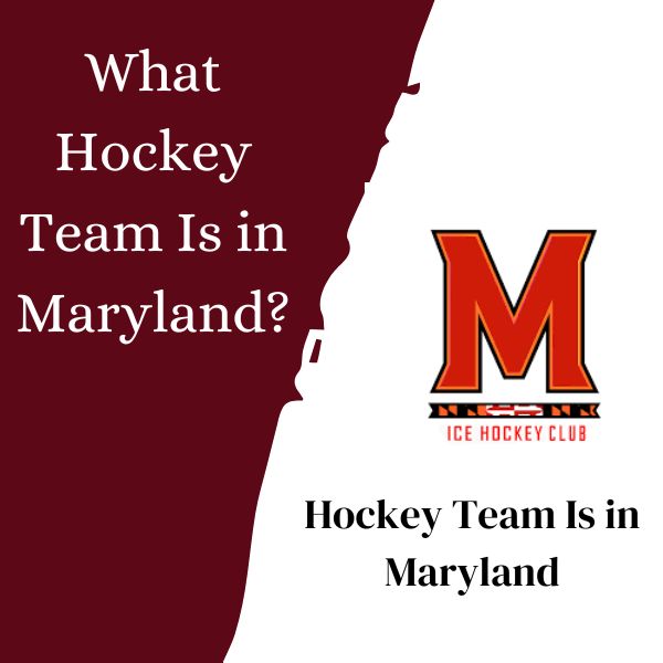 What Hockey Team Is in Maryland?